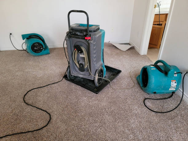 Water damage restoration mold remediation in Newton, NC