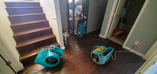 Best Water damage restoration near me  in Newton, NC