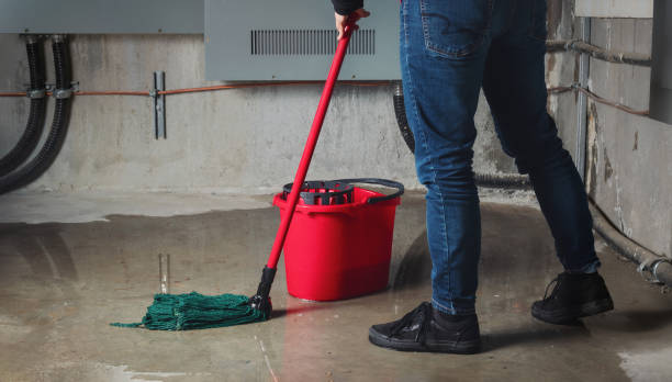 Best Water damage repair service  in Newton, NC