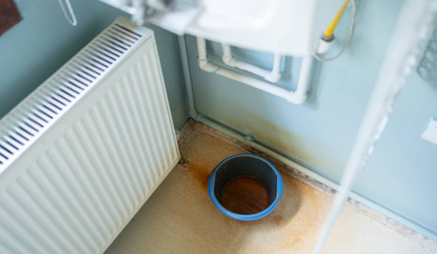 Best Water damage contractors near me  in Newton, NC