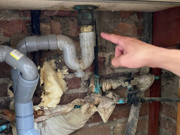 Best Ceiling water damage repair  in Newton, NC
