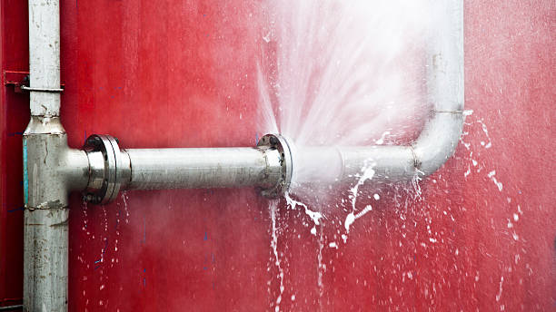 Water damage restoration mold remediation in Newton, NC